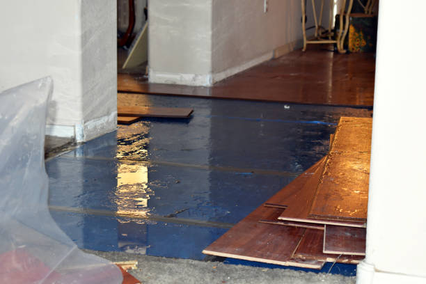 Professional Basement Flood Cleanup technician working in Camby, IN